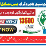 Benazir Kafaalat 13500: Resolve Payment Problems Fast